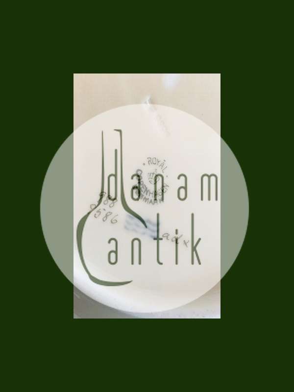 Royal Copenhagen Dagmar Middagstallerken No. 9586