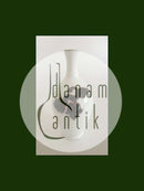 Bing und Grondahl Einzigartige Vase im Jugendstil von Theodor Larsen