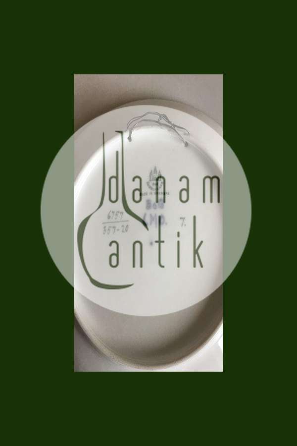 Bing Grondahl新艺术风格配重盘，带农舍编号6757/357-20