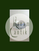 Bing Grondahl海鸥牌金质料酒杯（无盖）No 247