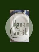 Bing & Grondahl Möwe mit goldener Teetasse und Untertasse Nr. 108