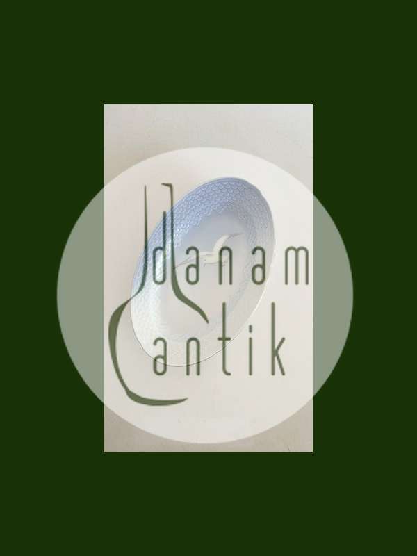 Bing & Grøndahl Måge med Guld Ovalt Fad No. 18