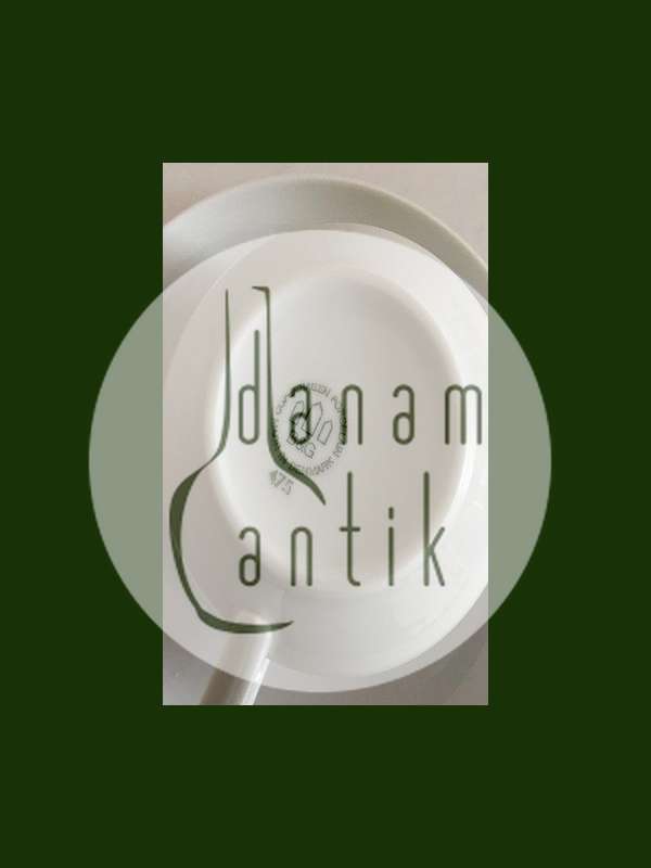 Bing og Grøndahl Komet Tekop og Underkop No 475