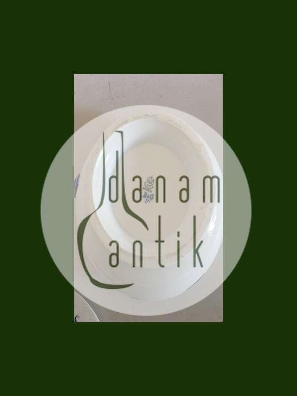 Bing & Grøndahl Jubilæumsstel / Blå Nellike Terrin.