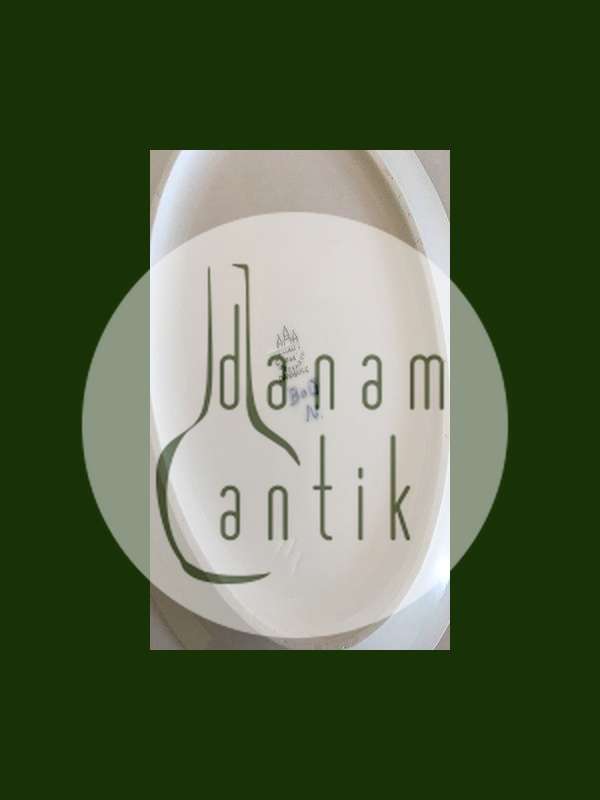 ビング＆グロンダール アニバーサリーセット / ブルーカーネーション オーバルディッシュ