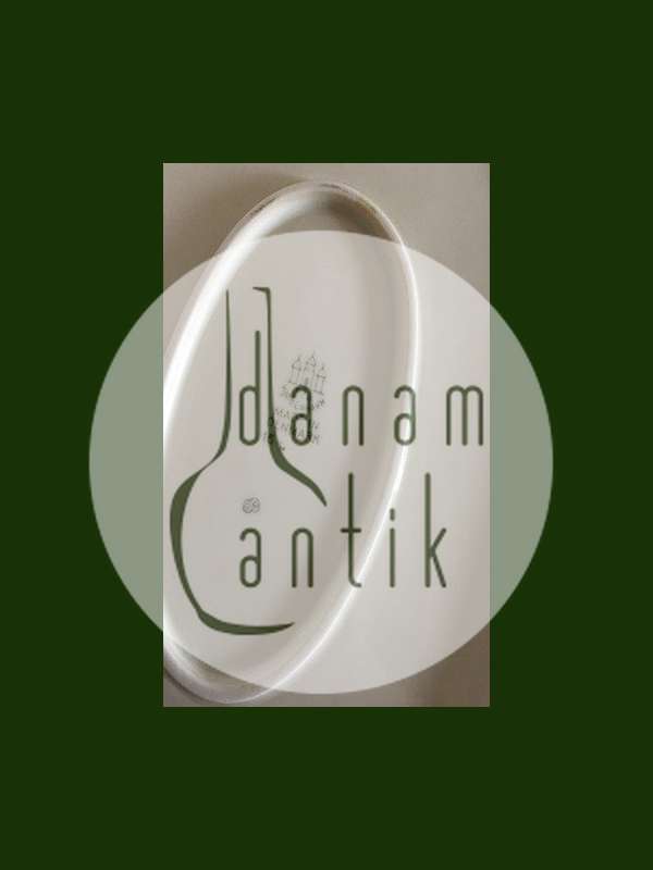 Bing & Grøndahl Kaktus Ovalt Fad No. 16