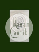 Bing & Grondahl Mexico Steingut Essteller Nr. 325