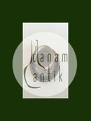 Bing & Grondahl Stoneware Mexico Coffee Cup and Saucer No 305