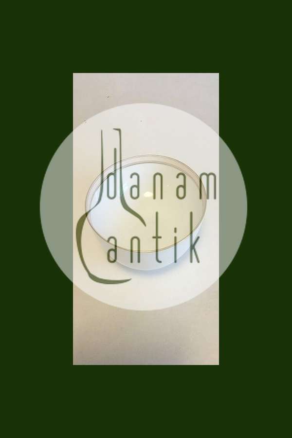 Bing & Grøndahl Don Juan Skål No 313