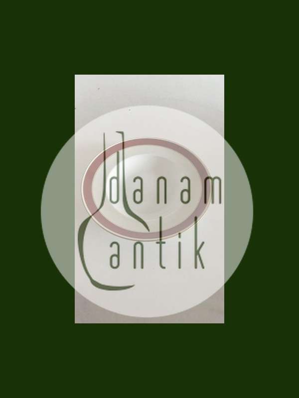 Bing Grondahl Egmont Deep Plate No 22。白色带酒红色边缘和金线