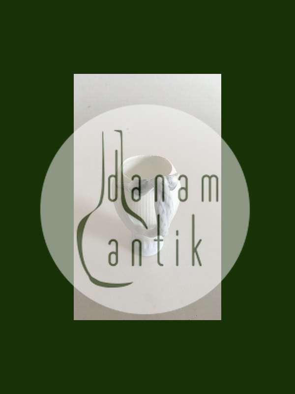 Bing & Grøndahl Hejre Stel Kaffe Kop uden guld