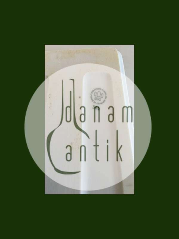 Bing og Grøndahl Firkantet Asiet No. 366 fra Apotekerserien