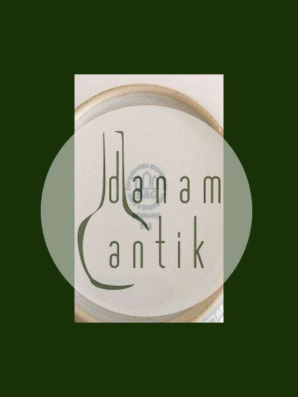 Bing Grondahl 釉面石器 "Coppelia "带盖服务碗 No 512