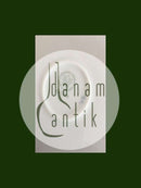 Bing Grondahl Cumulus自助餐盘/蛋糕盘编号624/304