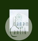 皇家哥本哈根狐狸图438号