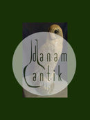 Royal Copenhagen figurine Snowowl No 1829