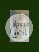 ロイヤルコペンハーゲン フィギュア アイスランド・ファルコン No 1661