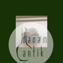 Royal Copenhagen Art Nouveau Mus på fiskehoved No 513