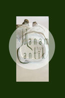 Bing & Grøndahl Stentøjsfigur af Borgerpar No 208 PMN