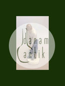 Bing Grondahl图的管道工第2432号