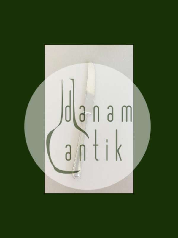 Georg Jensen不锈钢 "Copenhagen Line, Mat "带刀餐刀