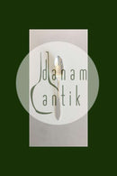 Georg Jensen Sølvplet Mermaid Dessertske