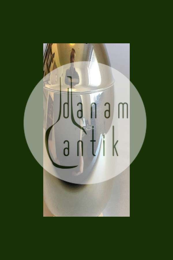 Georg Jensen Sterling Silver Cactus Sugar Shaker No 629