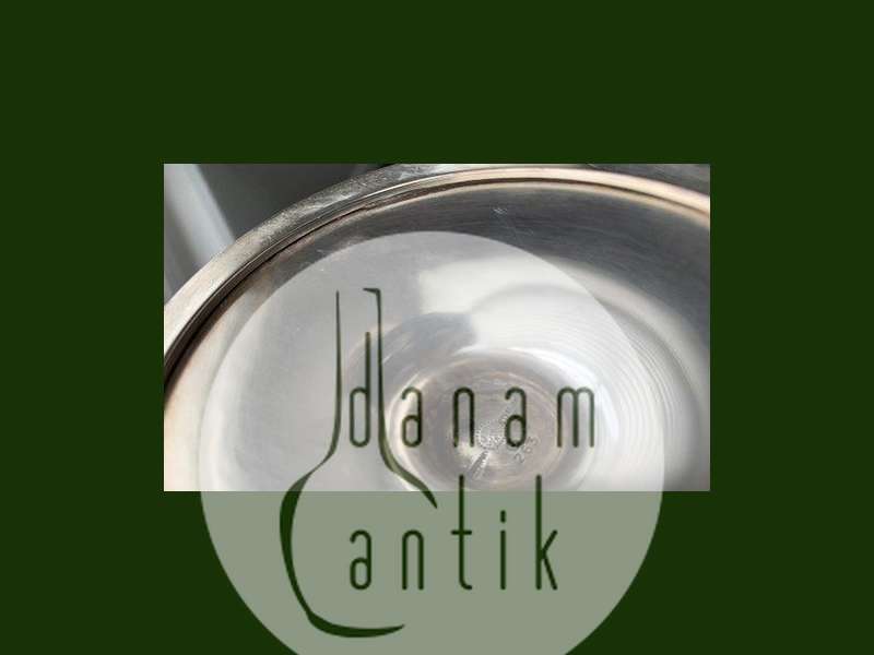 Par Georg Jensen Sterling Sølv Druestager No 263 A