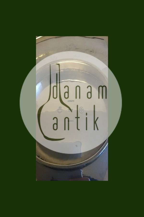 Georg Jensen Sterling sølv Magnolia Skål No 2E