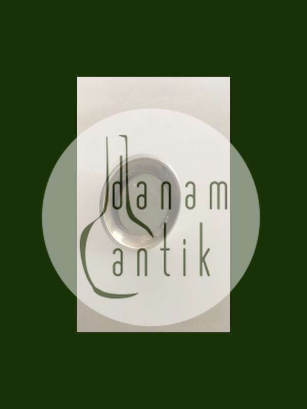 Georg Jensen Konge Sterling Sølv Peberbøsse No 423B