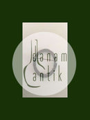 Georg Jensen Sterling Sølv og jern Broche No 5012B