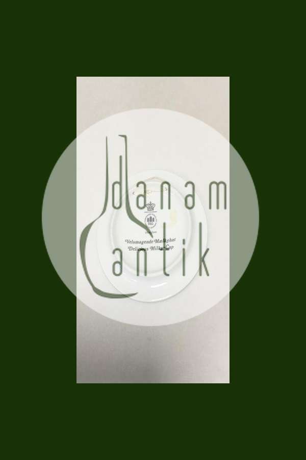 Bing & Grøndahl Svampeplatte No 3514/949