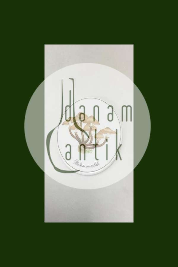 Bing & Grøndahl Svampeplatte No 3517/949