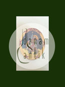 Bing and Grondahl Santa Claus Collection 1996 Plate - Santa in the Orient