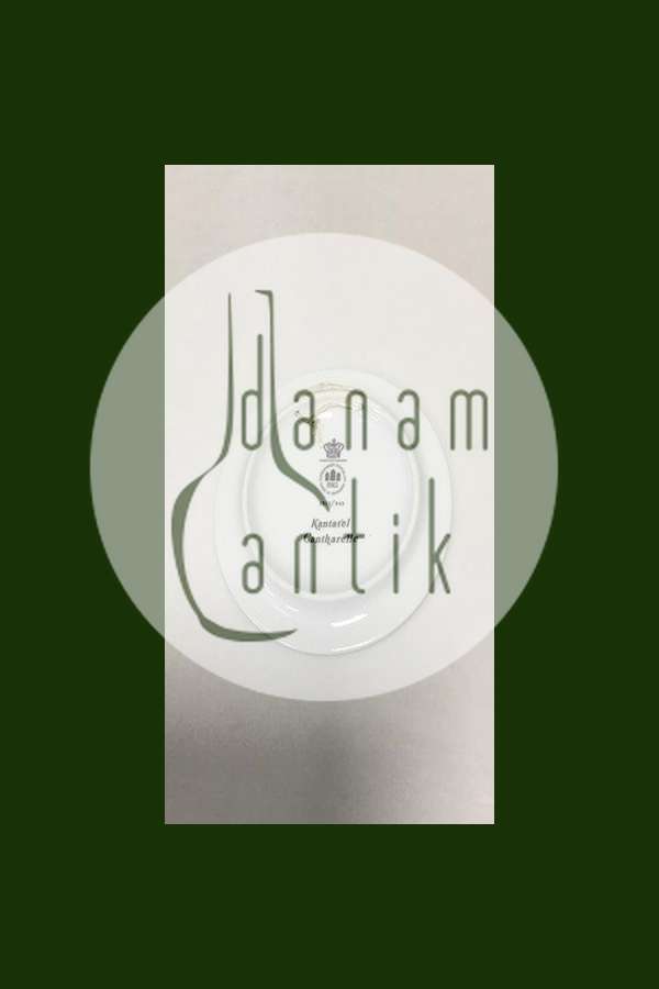 Bing & Grøndahl Svampeplatte 3513/949