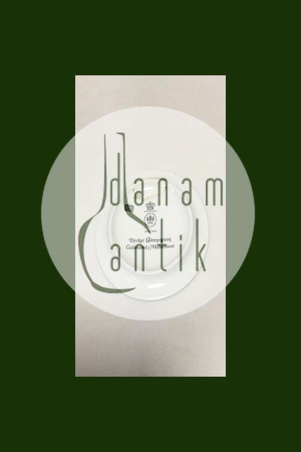 Bing & Grøndahl Svampeplatte No 3516/949