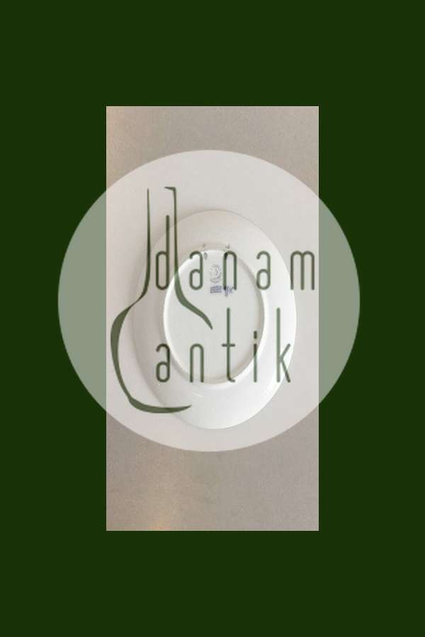 Royal Copenhagen Juleplatte fra 1934 med Fransk indskription "Noel"