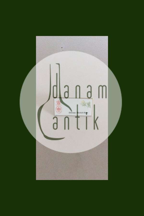 Bing & Grøndahl Dealer Advertising Sign "Klitrose / Scotch Rose"