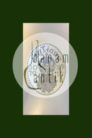 1918年生产的铝制朱利安纳板