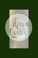 1919年的铝制朱利安纳板