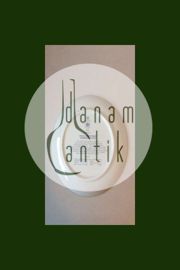 Bing & Grøndahl SAS Orville & Wilbur Wright Mindeplatte