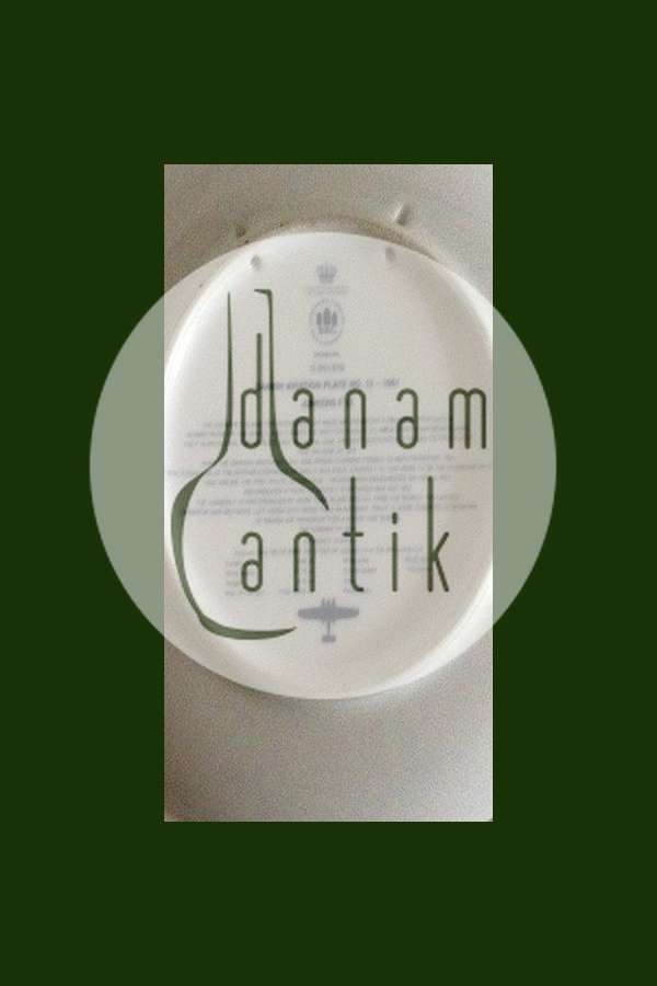 Bing & Grøndahl SAS Flyver Platte No 12 1987