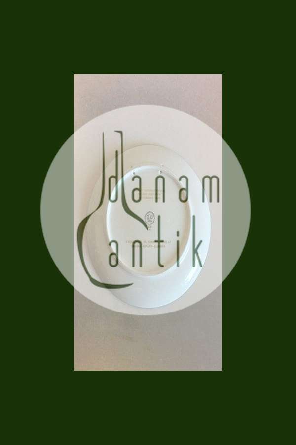 Bing & Grøndahl Rotary 75 års Jubilæumsplatte 1905 - 1980 No 8243