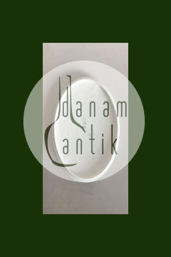 Bing & Grøndahl Mindeplatte fra 1925 BG-CM62