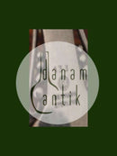 Georg Jensen Sterling Sølv Ornamental Ske No 133