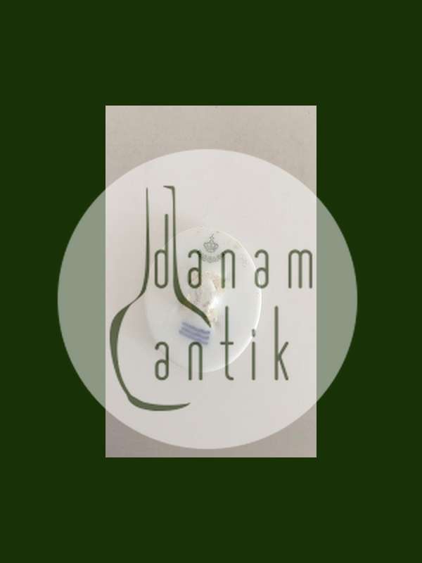 Royal Copenhagen Porcelænsknap med Håndmalet Blomstermotiv