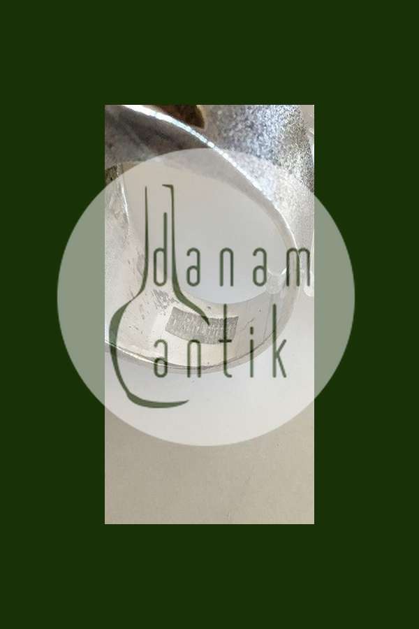 Lapponia, Finland ring af sølv