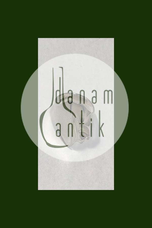 Lapponia Sterling Sølv Ring  "Kauris"