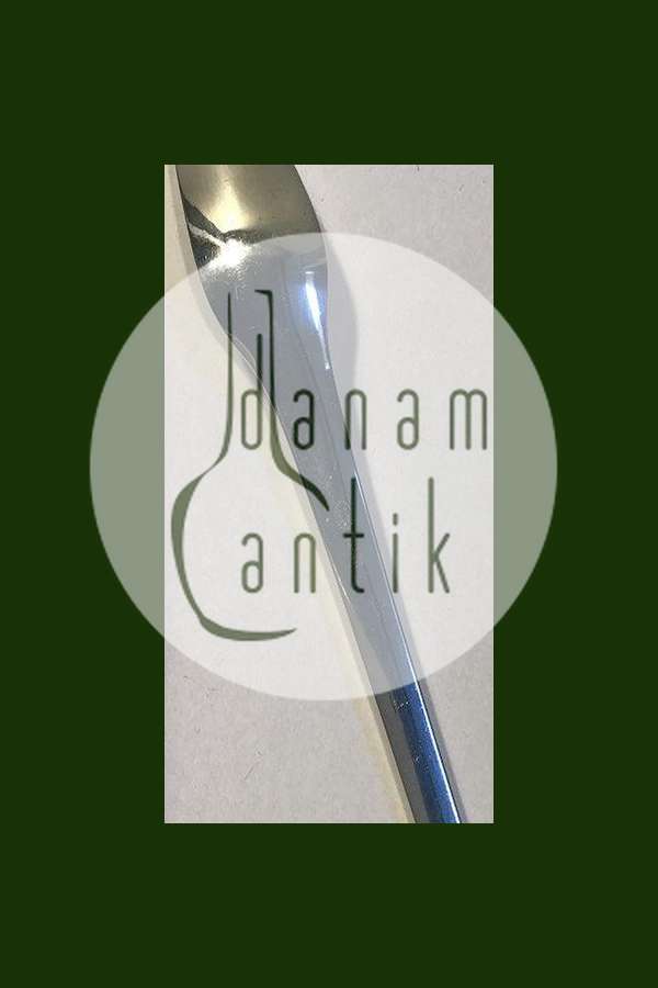 Georg Jensen Sterling Sølv Caravel Stegegaffel