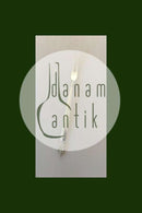 Georg Jensen Sterling Sølv Dronning Pålægsgaffel No 144